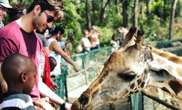 Giraffe Feeding at Haller Park